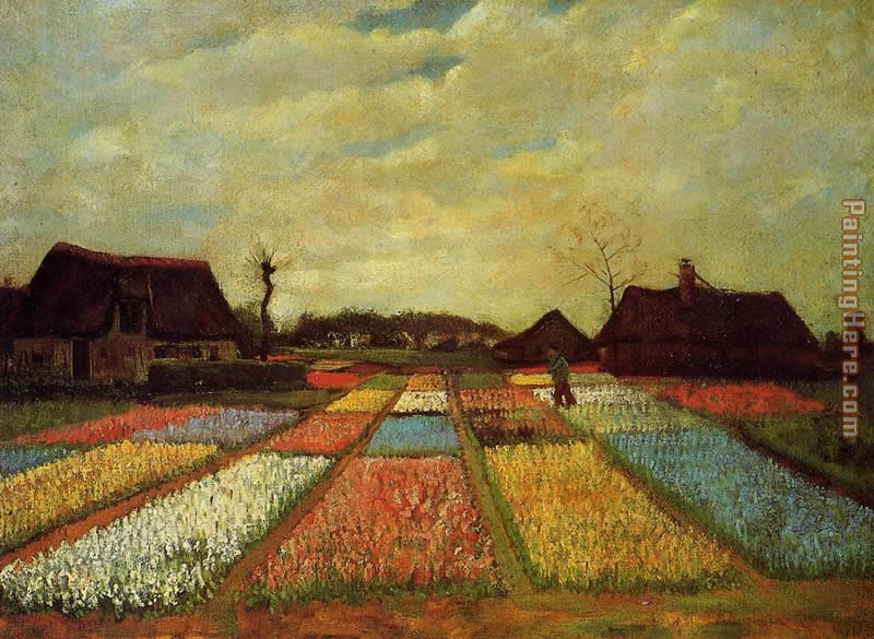 Vincent van Gogh Bulb Fields